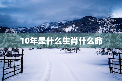 10年是什么生肖什么命