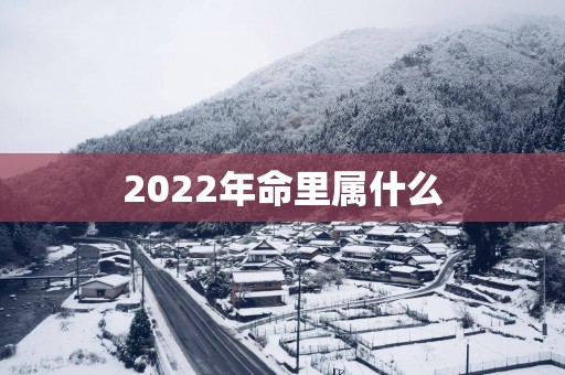 2025年命里属什么