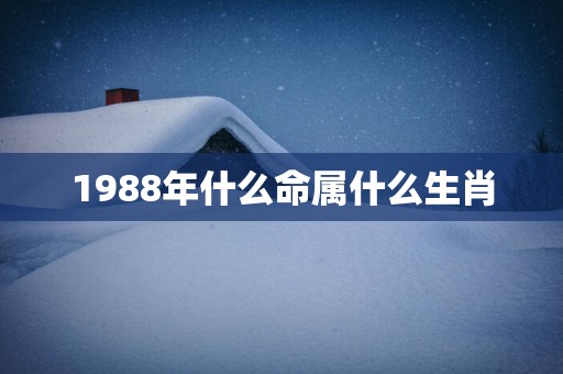 1988年什么命属什么生肖