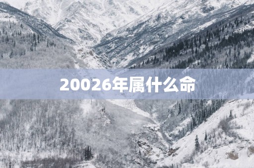 20026年属什么命