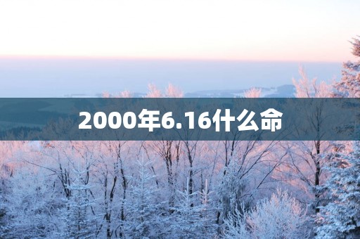 2000年6.16什么命