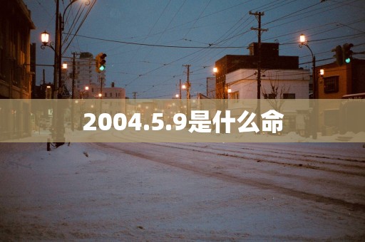 2004.5.9是什么命