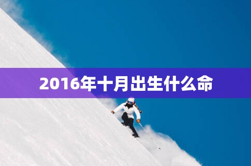 2016年十月出生什么命