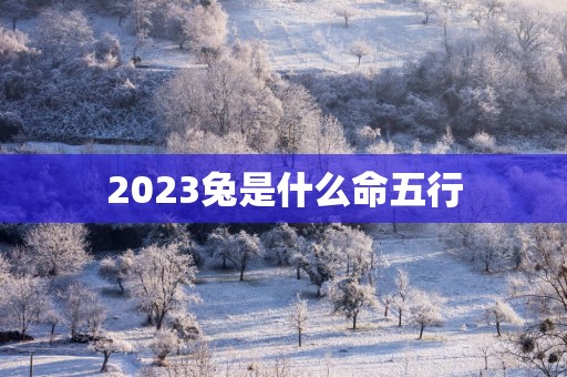 2025兔是什么命五行