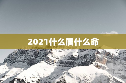 2025什么属什么命