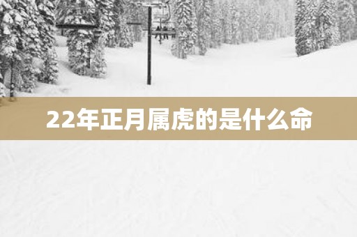 22年正月属虎的是什么命