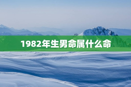 1982年生男命属什么命