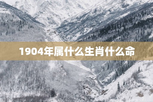 1904年属什么生肖什么命
