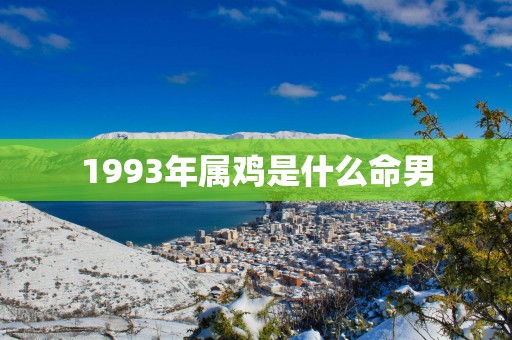 1993年属鸡是什么命男