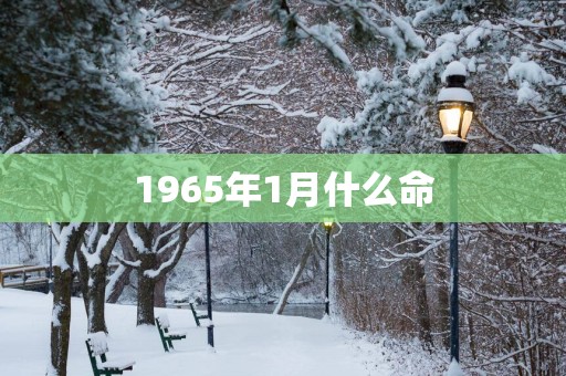 1965年1月什么命