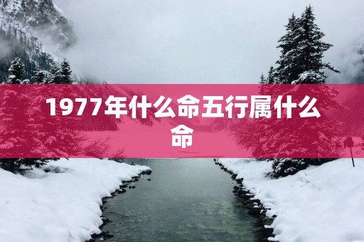 1977年什么命五行属什么命