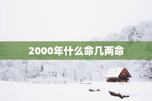 2000年什么命几两命