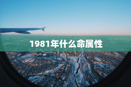 1981年什么命属性