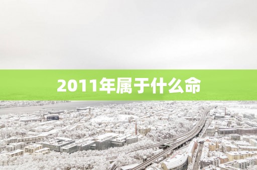 2011年属于什么命 2011年属于什么命