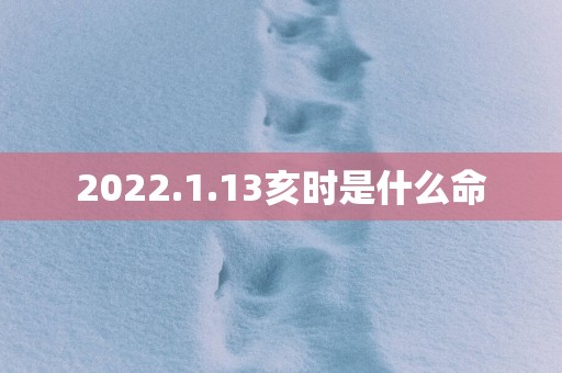 2025.1.13亥时是什么命