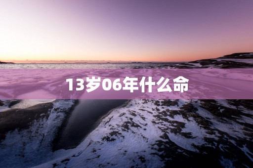 13岁06年什么命