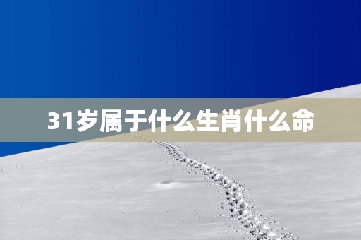31岁属于什么生肖什么命