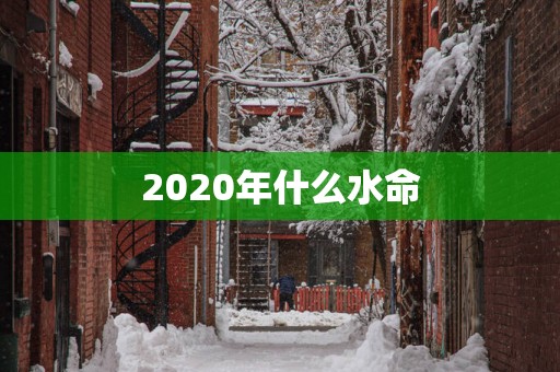 2025年什么水命