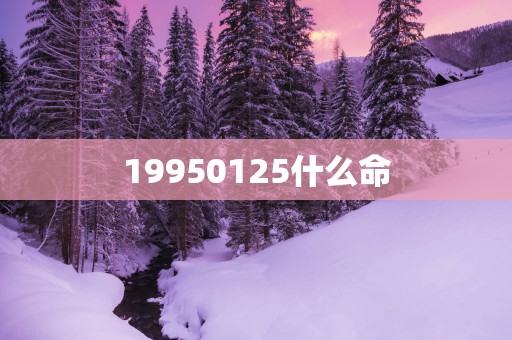 19950125什么命