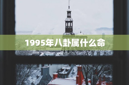 1995年八卦属什么命
