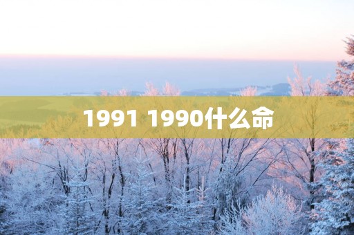 1991 1990什么命