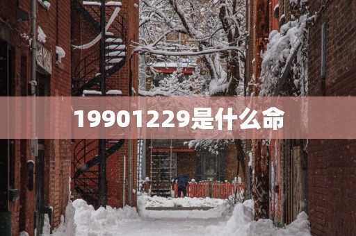 19901229是什么命