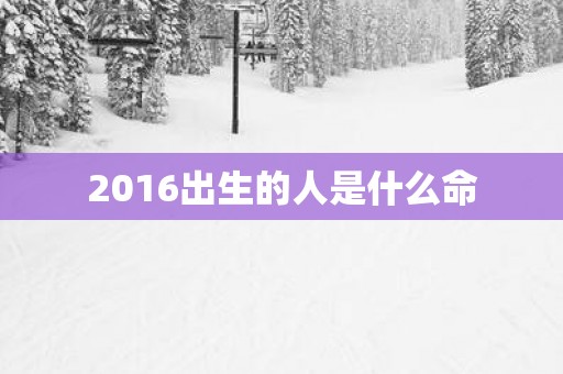 2016出生的人是什么命