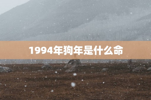 1994年狗年是什么命