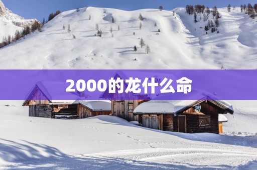 2000的龙什么命