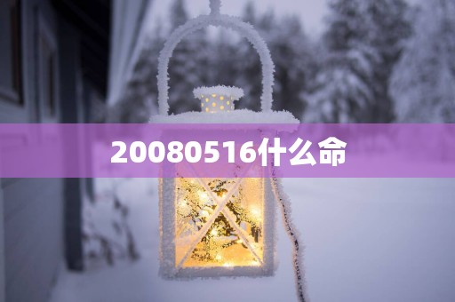 20080516什么命