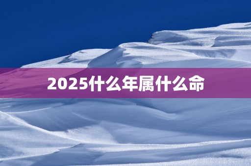 2025什么年属什么命