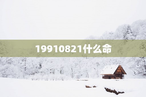 19910821什么命