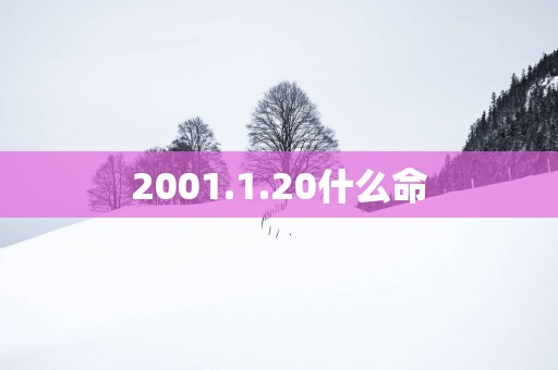 2001.1.20什么命