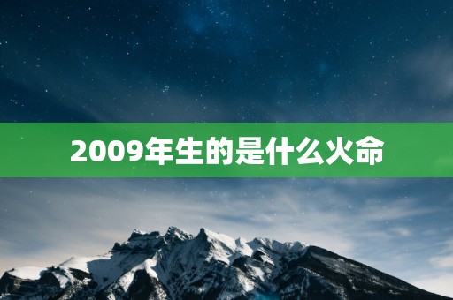 2009年生的是什么火命