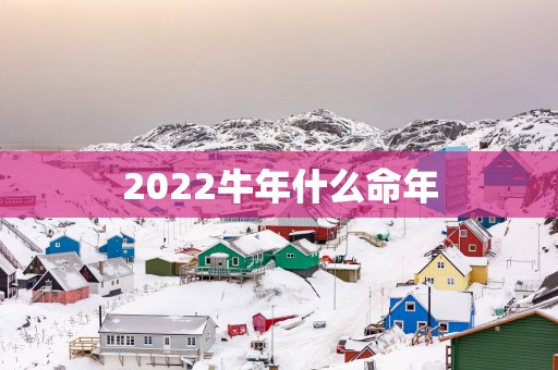 2025蛇年什么命年