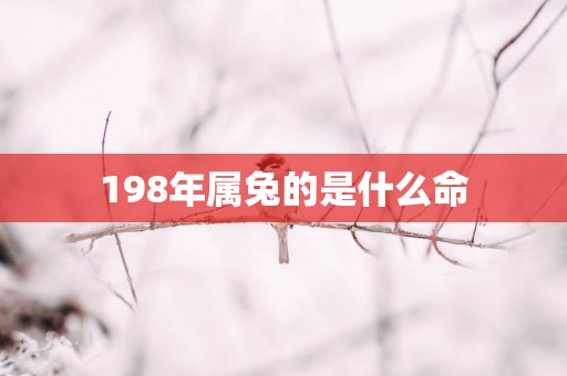 198年属兔的是什么命