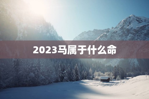 2025马属于什么命