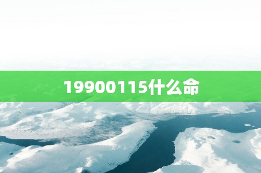 19900115什么命
