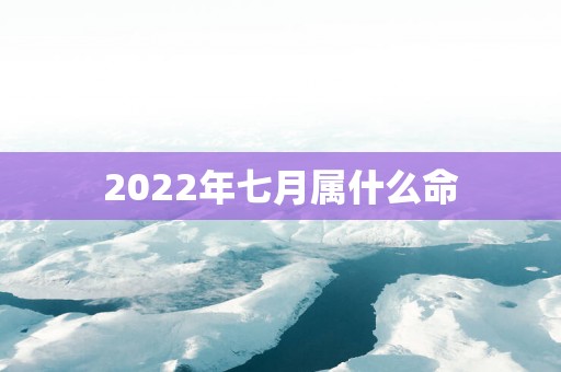 2025年七月属什么命