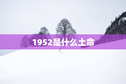 1952是什么土命