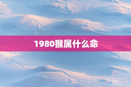 1980猴属什么命