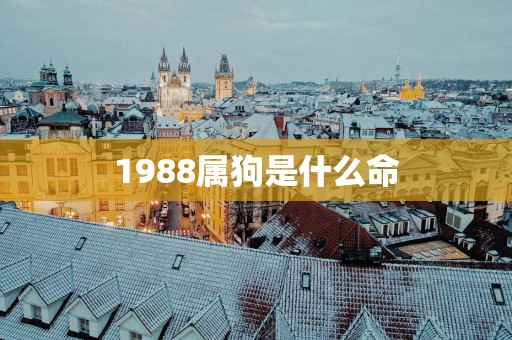 1988属狗是什么命