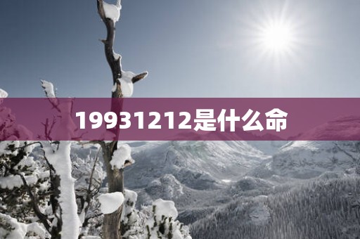 19931212是什么命