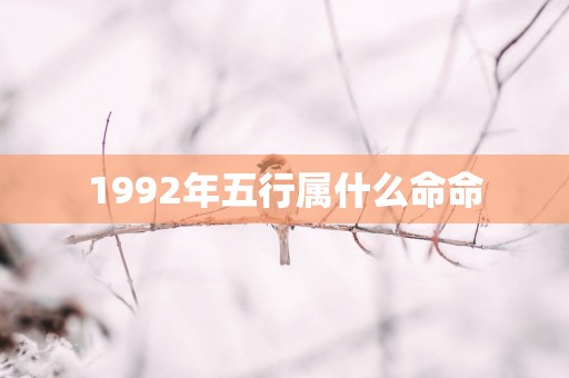 1992年五行属什么命命
