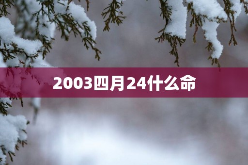 2003四月24什么命