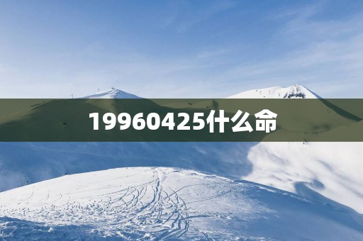 19960425什么命