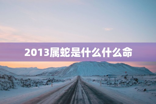 2013属蛇是什么什么命