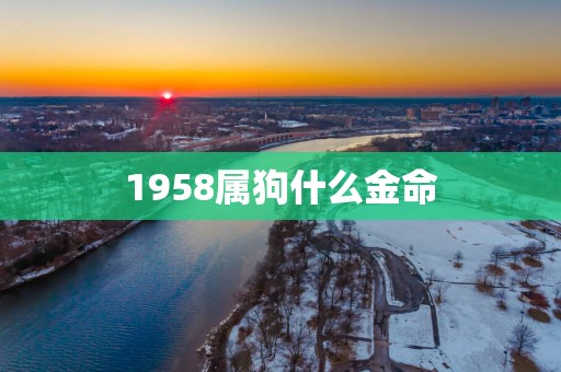 1958属狗什么金命