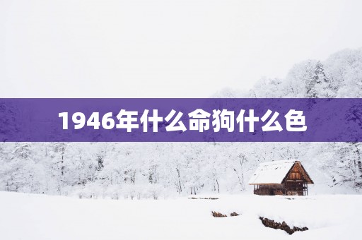 1946年什么命狗什么色