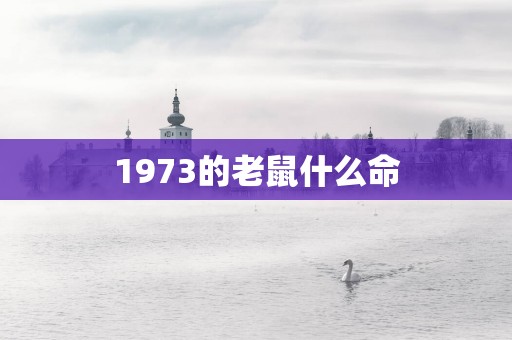 1973的老鼠什么命